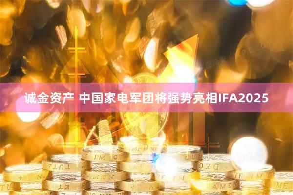 诚金资产 中国家电军团将强势亮相IFA2025