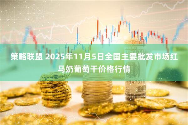 策略联盟 2025年11月5日全国主要批发市场红马奶葡萄干价格行情