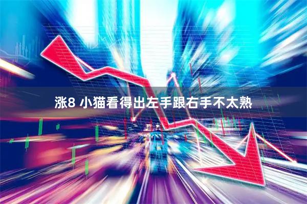 涨8 小猫看得出左手跟右手不太熟