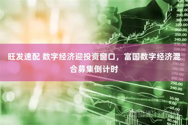 旺发速配 数字经济迎投资窗口，富国数字经济混合募集倒计时